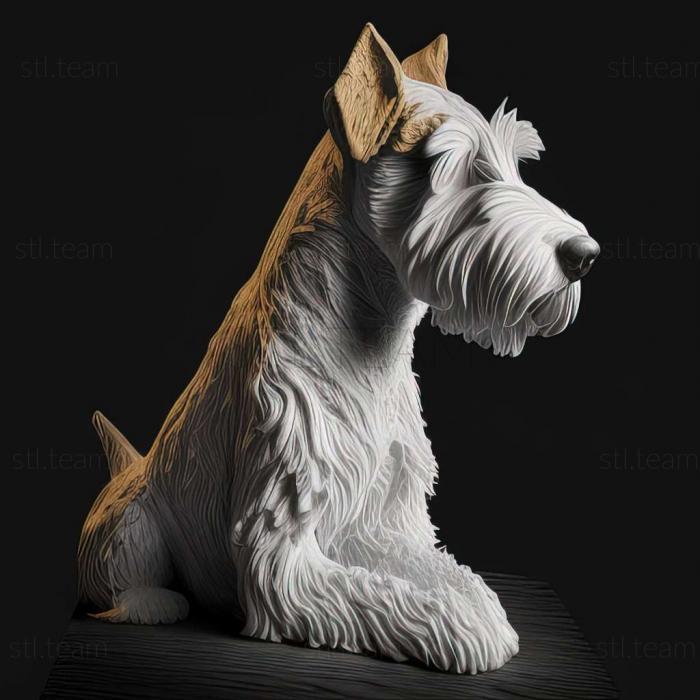 Wire  haired fox terrier dog